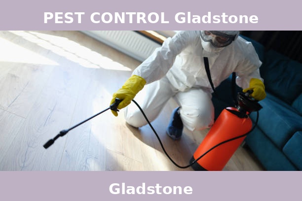PEST CONTROL Gladstone